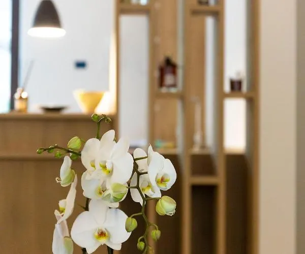 Πανσιόν Le Stanze Del Seta 4*